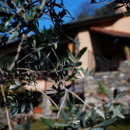 Conca Di Sopra